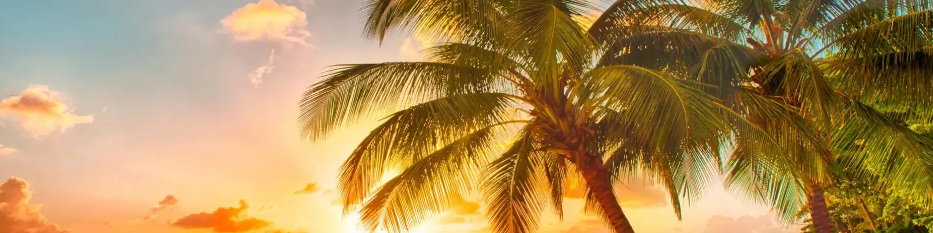 Sugar Cane Club Hotel & Spa